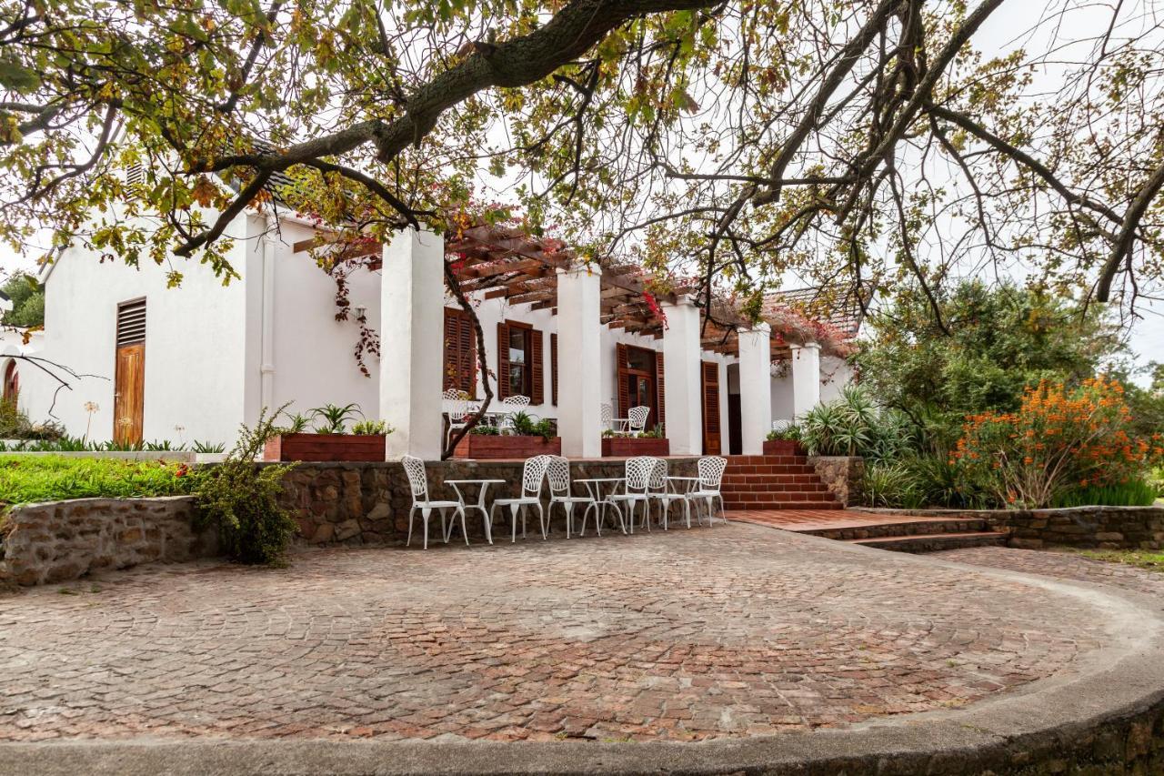 Ayama Wine Farm - Manor House Bed & Breakfast Wellington Dış mekan fotoğraf